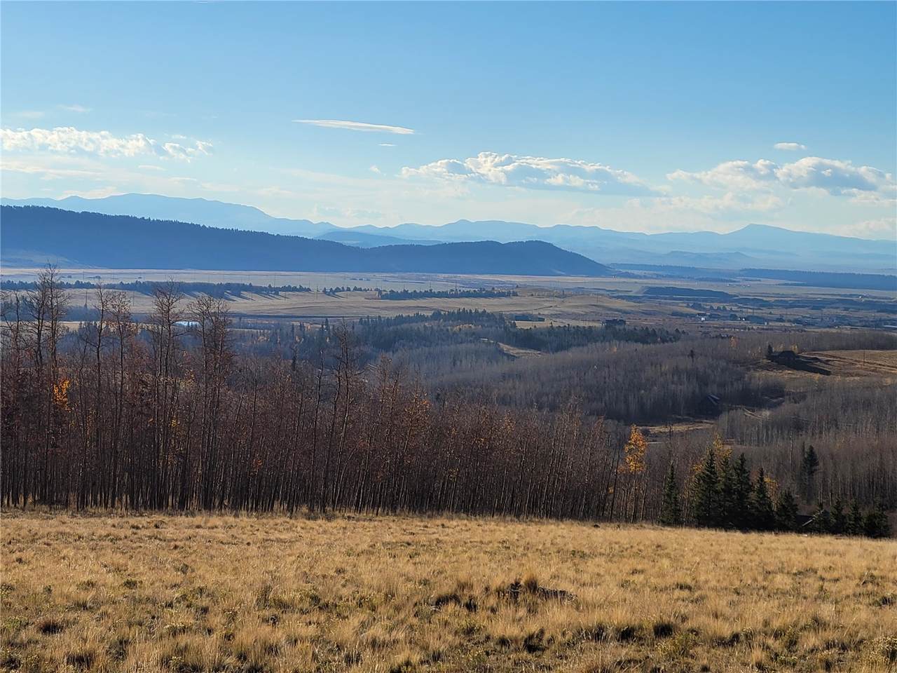 918 Little Baldy Circle - Photo 1