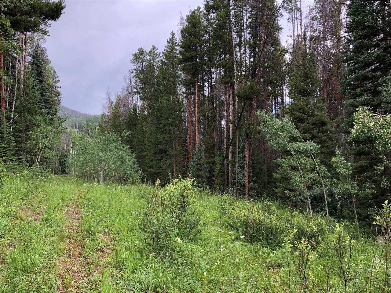 TBD Springboard Trail - Photo 1