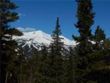 0057 Fuller Placer Road - Photo 4