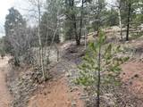 255 Pinon Lane - Photo 10