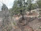 255 Pinon Lane - Photo 11