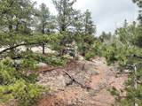 255 Pinon Lane - Photo 14