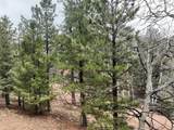 255 Pinon Lane - Photo 15