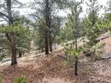 255 Pinon Lane - Photo 2