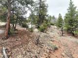 255 Pinon Lane - Photo 4