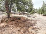 255 Pinon Lane - Photo 6