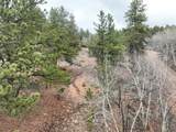 255 Pinon Lane - Photo 8