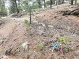255 Pinon Lane - Photo 9