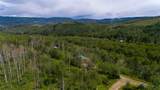 52002 County Road 8 - Photo 24