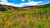 52002 County Road 8 - Photo 27