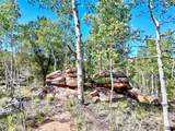 43 Pintail Road - Photo 31