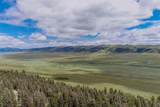 225 Trout Creek Road - Photo 33