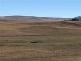 3036 Jumano Trail - Photo 5