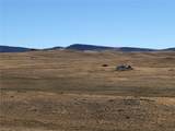 3036 Jumano Trail - Photo 6