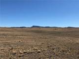 2972 Jumano Trail - Photo 10