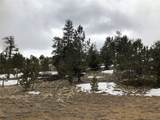 133 Joyce Lane - Photo 2