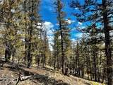 2843 Redhill Road - Photo 43