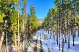 653 Summit Gulch Road - Photo 12