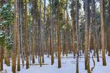 653 Summit Gulch Road - Photo 13