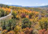 27185 Sundance Trail - Photo 5