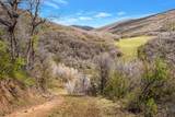 TBD County Road 52 - Photo 42