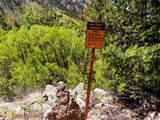10575 Co-82 - Photo 29