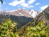 10575 Co-82 - Photo 31