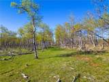 25335 Us Hwy 285 - Photo 10