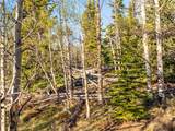 25335 Us Hwy 285 - Photo 17