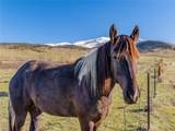 25335 Us Hwy 285 - Photo 20