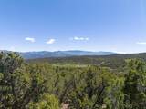 2435-2945 Co-131 - Photo 12