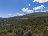 2435-2945 Co-131 - Photo 13