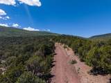 2435-2945 Co-131 - Photo 15