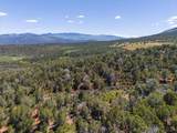 2435-2945 Co-131 - Photo 17