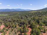 2435-2945 Co-131 - Photo 18