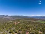 2435-2945 Co-131 - Photo 23