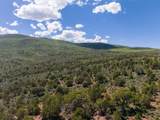 2435-2945 Co-131 - Photo 25