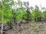 178 Wesson Lane - Photo 43