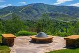 31050 Sweetwater Drive - Photo 4