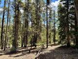 250 Ski Doo Road - Photo 38