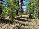 250 Ski Doo Road - Photo 39