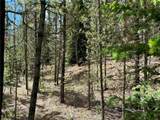 250 Ski Doo Road - Photo 40