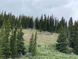 00 Forest Road 450 - Photo 6