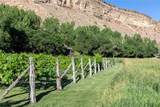 34074 Fruitland Mesa Road - Photo 48