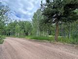 32518 Ute Trail - Photo 7