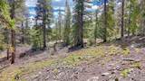 126 Gold Trail Cutoff - Photo 10