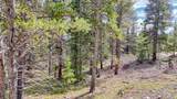 126 Gold Trail Cutoff - Photo 11
