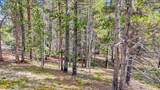 126 Gold Trail Cutoff - Photo 12