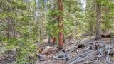 126 Gold Trail Cutoff - Photo 6