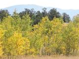 16 Buckshot Trail - Photo 28